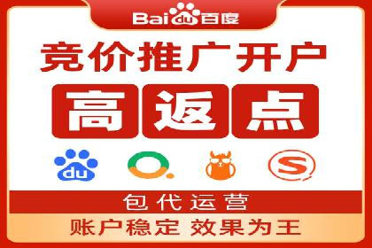 案例分享：SEM推广助力电商快速崛起